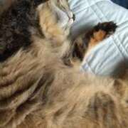 ヒメ日記 2025/09/20 13:34 投稿 羽舞まゆな 手コキ研修塾