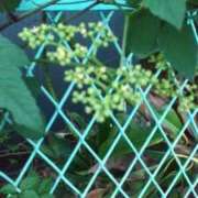 ヒメ日記 2025/09/28 00:24 投稿 羽舞まゆな 手コキ研修塾