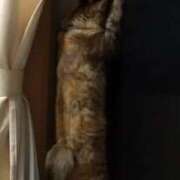 羽舞まゆな 久しぶりの出勤でした！ 手コキ研修塾