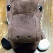 ヒメ日記 2026/03/03 22:52 投稿 羽舞まゆな 手コキ研修塾