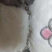 ヒメ日記 2026/04/01 22:04 投稿 羽舞まゆな 手コキ研修塾