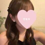 Kotori 小鳥日記 THE PREMIUM （プレミアム）