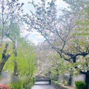 ヒメ日記 2026/04/09 16:01 投稿 西島　そら プルプル人妻専門店