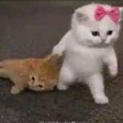 まいか♡Iカップ爆乳デビュー ごめんなさい(T . T) CURE（辻）