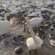 ヒメ日記 2026/01/28 13:59 投稿 月乃　ひいろ イラマチーオ新宿店