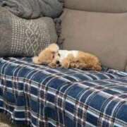 ヒメ日記 2026/03/02 04:19 投稿 月乃　ひいろ イラマチーオ新宿店