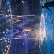 ヒメ日記 2025/11/21 21:19 投稿 月乃　ひいろ SM東京　新宿店