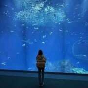 ヒメ日記 2026/03/11 21:39 投稿 月乃　ひいろ SM東京　新宿店