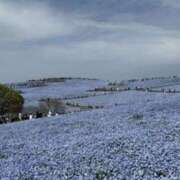 月乃　ひいろ お花畑♪ SM東京　新宿店