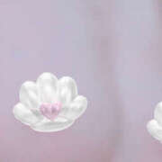 めいさ めいさです 奥鉄オクテツ大阪