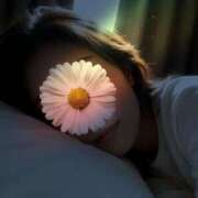 ヒメ日記 2026/02/24 00:24 投稿 めいさ 奥鉄オクテツ大阪