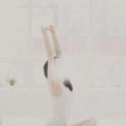 ヒメ日記 2026/03/29 08:19 投稿 めいさ 奥鉄オクテツ大阪