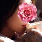 ヒメ日記 2026/04/07 20:53 投稿 めいさ 奥鉄オクテツ大阪