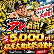 ヒメ日記 2026/09/30 08:49 投稿 めいさ 奥鉄オクテツ大阪