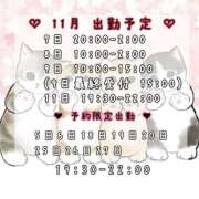 にこり ♡ 11月の 会える日 ♡ 栃木宇都宮ちゃんこ