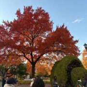 ヒメ日記 2025/11/12 01:30 投稿 ゆかり 佐賀人妻デリヘル 「デリ夫人」