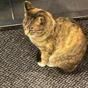 ヒメ日記 2025/11/13 01:11 投稿 ゆかり 佐賀人妻デリヘル 「デリ夫人」