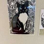 ヒメ日記 2025/11/14 22:52 投稿 ゆかり 佐賀人妻デリヘル 「デリ夫人」