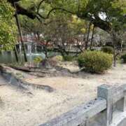 ヒメ日記 2025/12/31 02:08 投稿 ゆかり 佐賀人妻デリヘル 「デリ夫人」