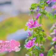 ヒメ日記 2025/09/21 08:24 投稿 べにお 熟女の風俗最終章 仙台店