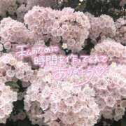 ヒメ日記 2025/09/23 03:42 投稿 べにお 熟女の風俗最終章 仙台店