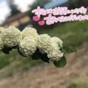 ヒメ日記 2025/09/24 00:54 投稿 べにお 熟女の風俗最終章 仙台店