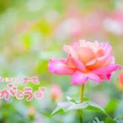 ヒメ日記 2025/09/25 03:34 投稿 べにお 熟女の風俗最終章 仙台店