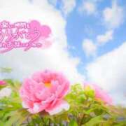 ヒメ日記 2025/11/21 08:54 投稿 べにお 熟女の風俗最終章 仙台店