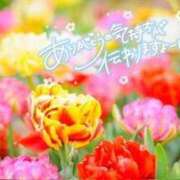 ヒメ日記 2025/11/24 01:04 投稿 べにお 熟女の風俗最終章 仙台店