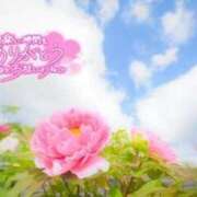 ヒメ日記 2025/11/24 19:09 投稿 べにお 熟女の風俗最終章 仙台店