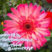 ヒメ日記 2025/11/24 22:24 投稿 べにお 熟女の風俗最終章 仙台店