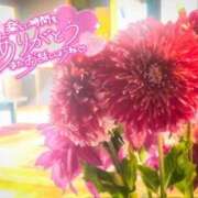 べにお お礼💌🧸　　　S様❤️ 熟女の風俗最終章 仙台店