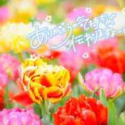 ヒメ日記 2025/12/16 10:04 投稿 べにお 熟女の風俗最終章 仙台店