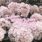 ヒメ日記 2025/12/23 20:09 投稿 べにお 熟女の風俗最終章 仙台店