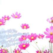 ヒメ日記 2025/12/25 11:19 投稿 べにお 熟女の風俗最終章 仙台店