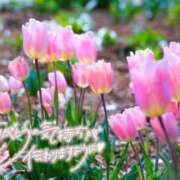 ヒメ日記 2025/12/27 17:10 投稿 べにお 熟女の風俗最終章 仙台店