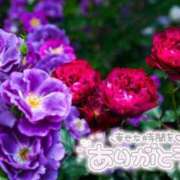 ヒメ日記 2025/12/27 17:17 投稿 べにお 熟女の風俗最終章 仙台店