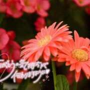 ヒメ日記 2025/12/28 12:03 投稿 べにお 熟女の風俗最終章 仙台店