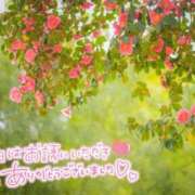 ヒメ日記 2025/12/29 12:44 投稿 べにお 熟女の風俗最終章 仙台店