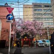 ヒメ日記 2026/03/31 10:14 投稿 べにお 熟女の風俗最終章 仙台店