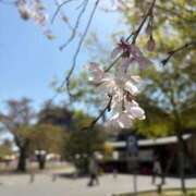 ヒメ日記 2026/04/19 21:04 投稿 べにお 熟女の風俗最終章 仙台店