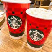 ヒメ日記 2025/11/21 12:36 投稿 星葉【セイハ】 LOVEキタ兎我野店