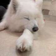 ヒメ日記 2025/10/09 20:10 投稿 奥野ひじり 五反田発 痴漢電車or全裸入室