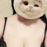 ヒメ日記 2025/10/25 11:28 投稿 さくら 高津角えび