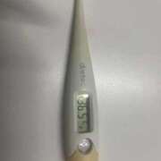 ヒメ日記 2025/09/20 15:42 投稿 ホナミ(奥方) 奥様幕府