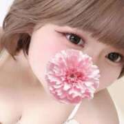 ヒメ日記 2025/09/21 06:47 投稿 ホナミ(奥方) 奥様幕府