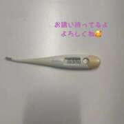 ヒメ日記 2025/09/21 13:57 投稿 ホナミ(奥方) 奥様幕府