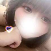 ヒメ日記 2025/09/22 21:41 投稿 ホナミ(奥方) 奥様幕府