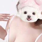 ヒメ日記 2025/09/23 05:06 投稿 ホナミ(奥方) 奥様幕府