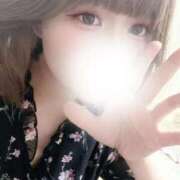 ヒメ日記 2025/09/24 07:00 投稿 ホナミ(奥方) 奥様幕府